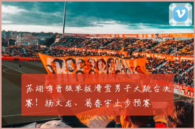 苏翊鸣晋级单板滑雪男子大跳台决赛！杨文龙、葛春宇止步预赛