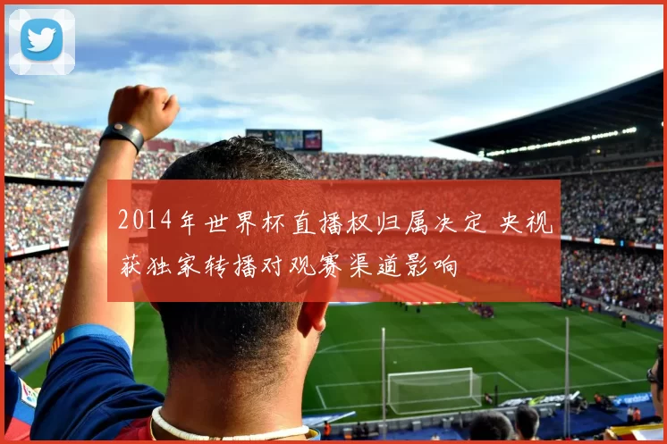 2014年世界杯直播权归属决定 央视获独家转播对观赛渠道影响