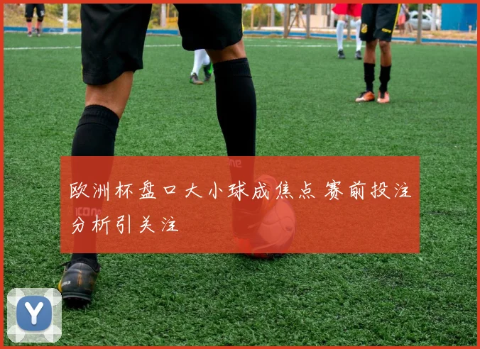 欧洲杯盘口大小球成焦点 赛前投注分析引关注
