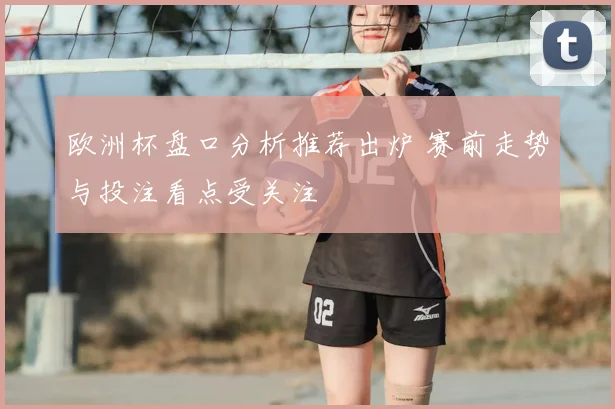 欧洲杯盘口分析推荐出炉 赛前走势与投注看点受关注