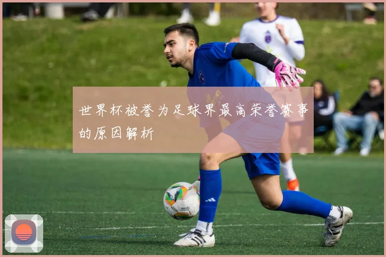 世界杯被誉为足球界最高荣誉赛事的原因解析