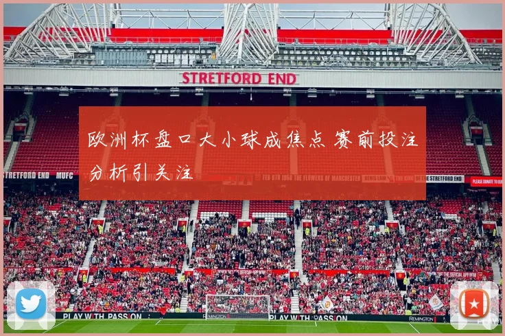 欧洲杯盘口大小球成焦点 赛前投注分析引关注