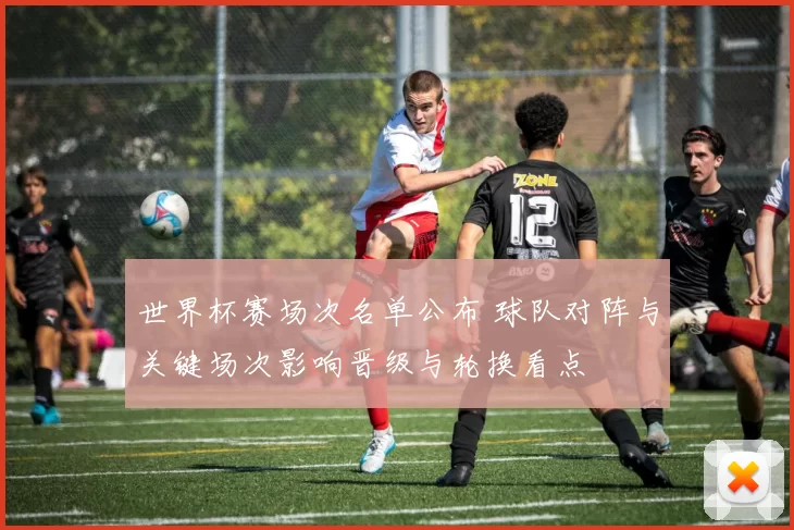 世界杯赛场次名单公布 球队对阵与关键场次影响晋级与轮换看点