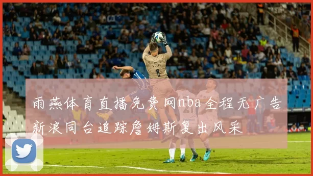 雨燕体育直播免费网nba全程无广告新浪同台追踪詹姆斯复出风采