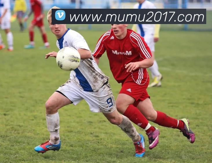 开云(中国)Kaiyun·体育官方网站 - 登录入口平台生态图