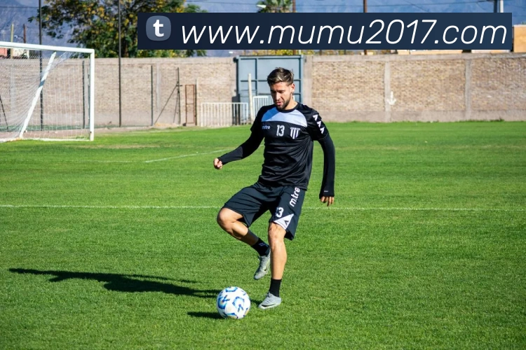 开云(中国)Kaiyun·官方网站APP 封面图