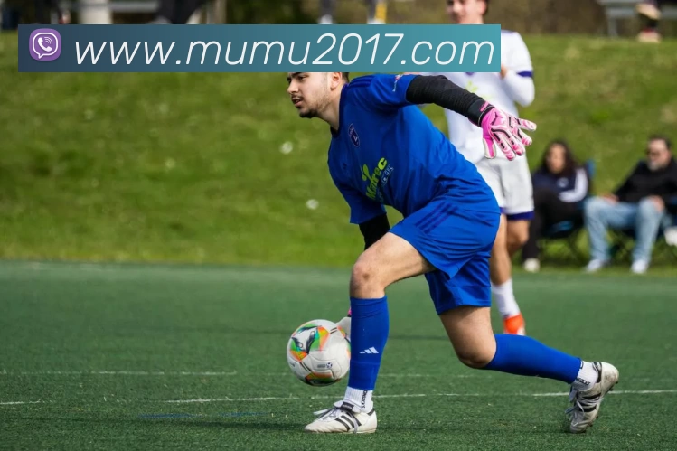 开云(中国)Kaiyun·体育官方网站 - 登录入口全站App